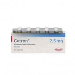 Гутрон таблетки 2,5 мг. №20 в Стерлитамаке и области фото